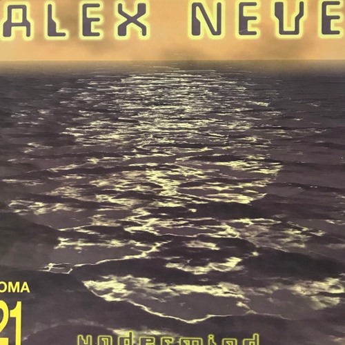 Alex Neve - Dolphins In The 80's (Original Mix)