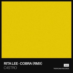 Rita Lee - Cobra (C4STRO Remix)