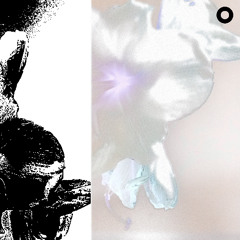 potentialform