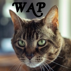 Sunday Afternoon - WAP