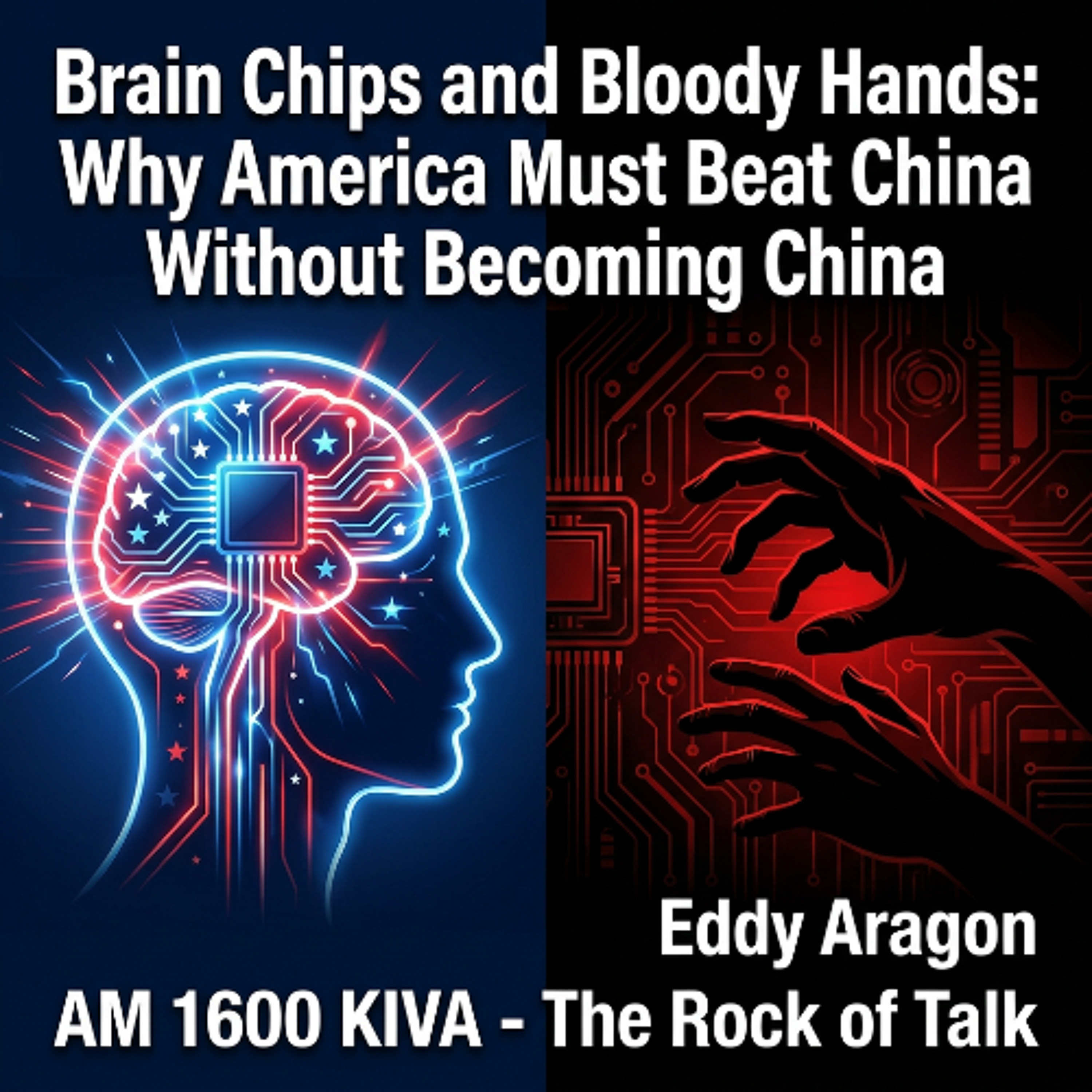 Brain Chips and Bloody Hands:  Why America Must Beat China Without Becoming China episode artwork