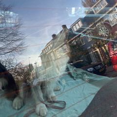 Mix 17 november 2025