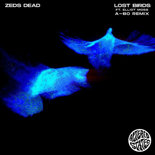 lost birds ft. Elliot Moss (AYYBO Remix)