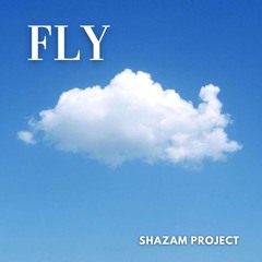 Shazam Project - Fly