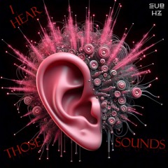 I Hear Those Sounds - Twisted Velvet & 2DM