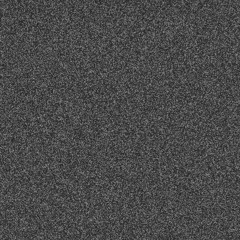 Fox 12 - QueenVanegas