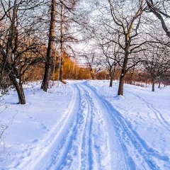 La Piste (Snow track)