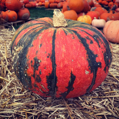 Nightlife in Calcutta W.VA