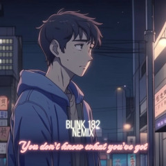 NEMIX - You don't know what you've got (Blink 182)
