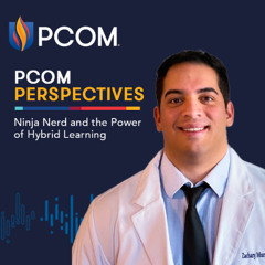 PCOM Perspectives: Ninja Nerd and the Power of Hybrid Learning