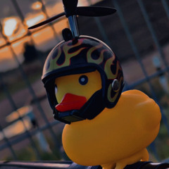 Der Abfakker- 1N D3IN3 DR3CKFR3S5E!!