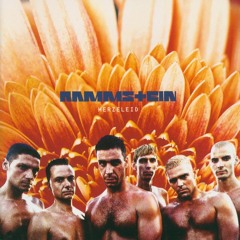 Rammstein - Wollt Ihr Das Bett In Flammen Sehen Slowed & Reverb