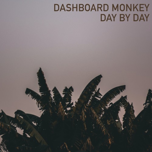 Dashboard Monkey - Day By Day