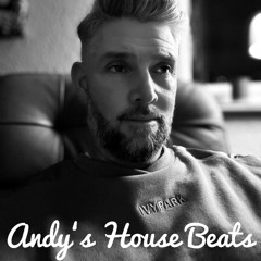 Andy's House Beats Vol.67 (Evergreen House)
