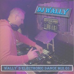 Wally´s Electronic Dance Mix 01