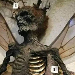 all of my enemies died generations ago