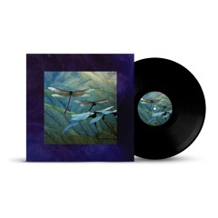 [STORY003] A2. BRYZ - Internal Flight