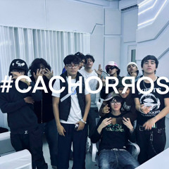 #CACHORROS @canutovvs@hirdencain@kennethmalobebe@swagsinfalla@pesadilladeseño@kikstrejo@hanto@gigolo
