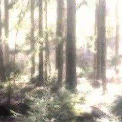 manifest / far (prod pk65)