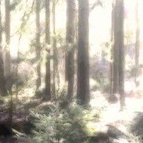 manifest / far (prod pk65)