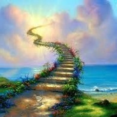 spirit animal meditation