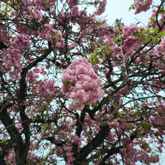 Trvie! - Po' Away (prod. dragos marcus)