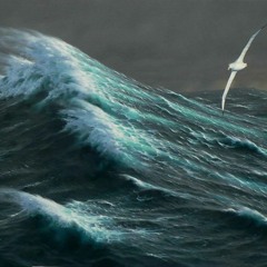 Albatross