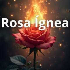 Rosa Ígnea