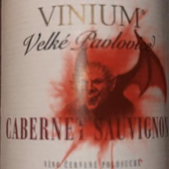 všude kudy chodím