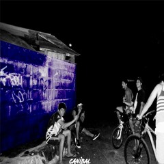 CANIBAL - La vie a 36 (Audio 2020)