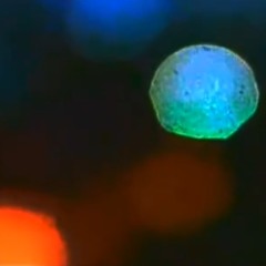 Blurred lights
