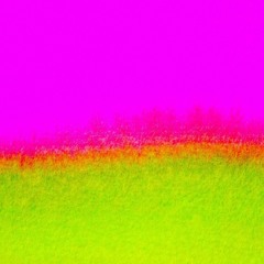 ZEN GARDEN RADIO 77.7