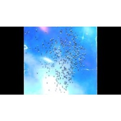 BigBreeze - Eyes On The King Ft Eli Montanna, De La Cruz (Official Audio)