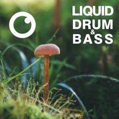 Liquid Drum and Bass Sessions  #39 [January 2021]
