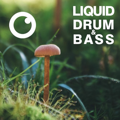 Stream Liquid Drum and Bass Sessions #39 [January 2021] by Fokuz Recordings  | Listen online for free on SoundCloud