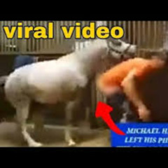 New@@@Link video aida victoria merlano horse & aida victoria merlano con caballo