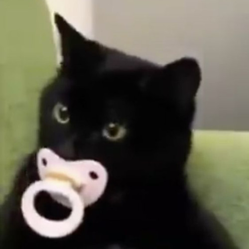 Noi solo noi