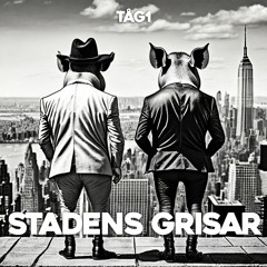 Stadens Grisar