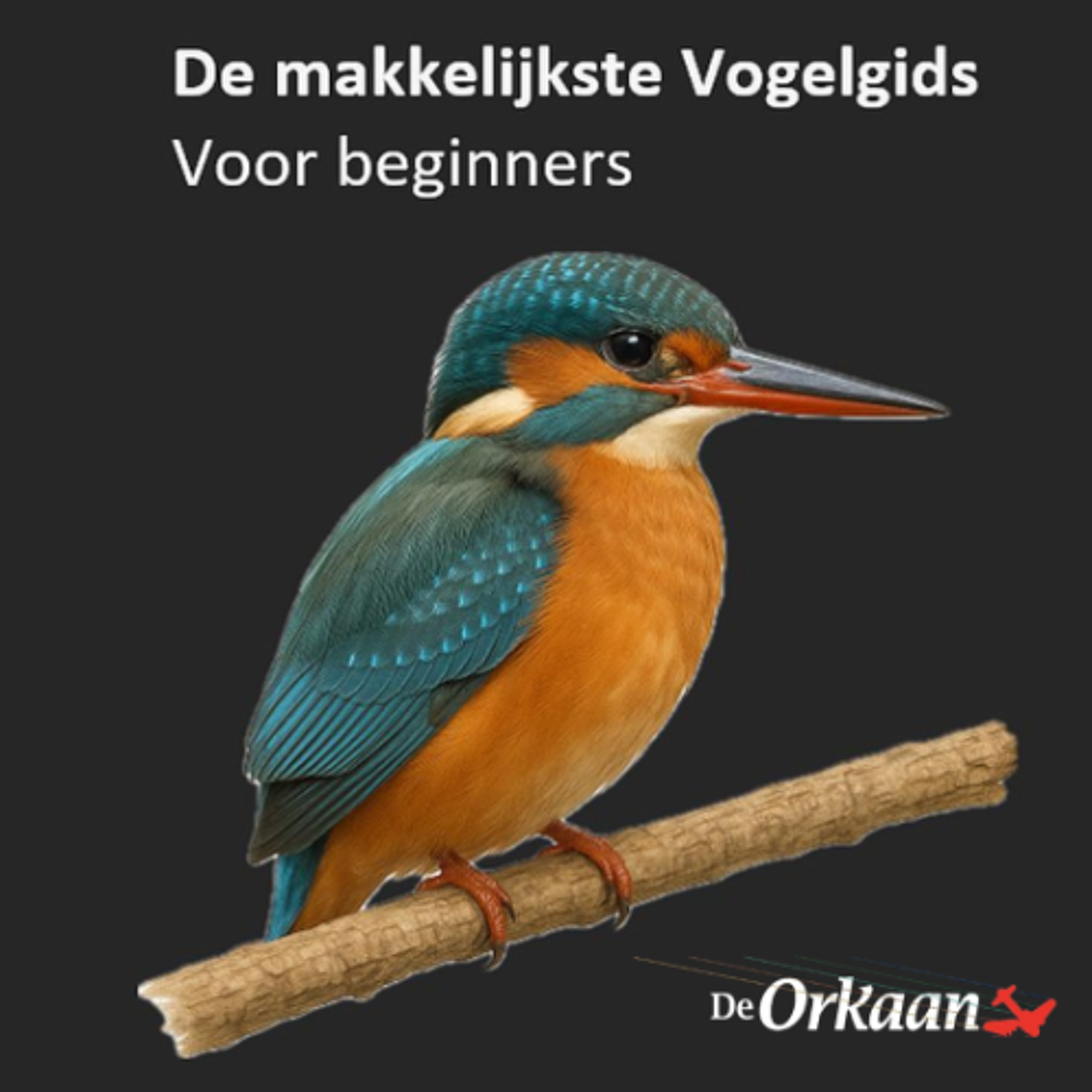 De makkelijkste vogelgids komt uit Wormer