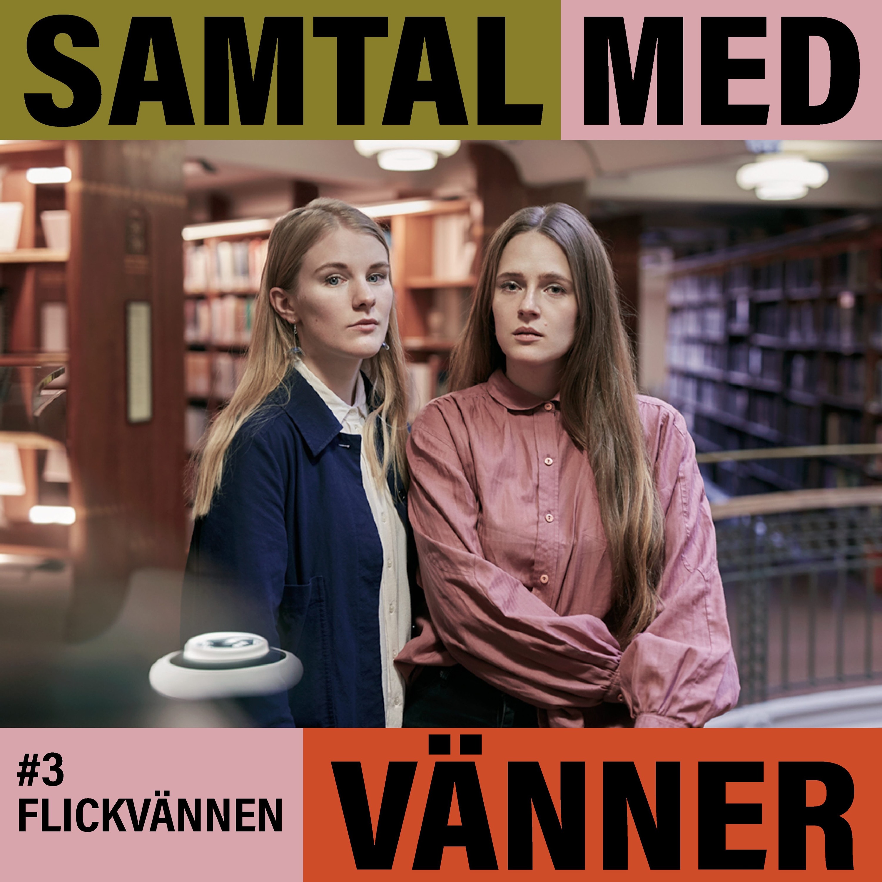 Samtal med vänner