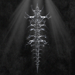 Hold My Spine