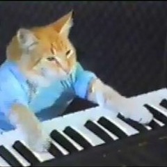 Keyboard Cat