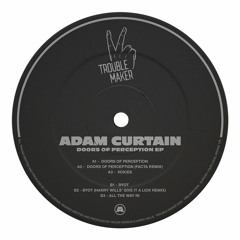 PREMIERE: Adam Curtain - BYOT (Harry Wills' Give It A Lick Mix)[Trouble Maker]