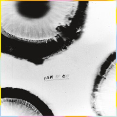 [MAGIC015] Anatta - Fields Of Play EP
