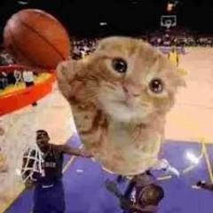 ballincat43 theme song !!!
