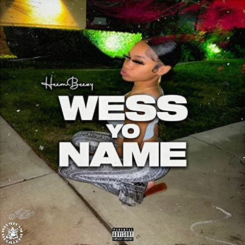 Heembeezy - Wess Yo Name [Prod. Brandonthepro x TonyDaHittMann]