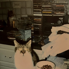 the birds and the bees