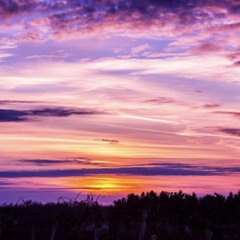 Nengin_nengin_English version _cover❤️‍🔥💯