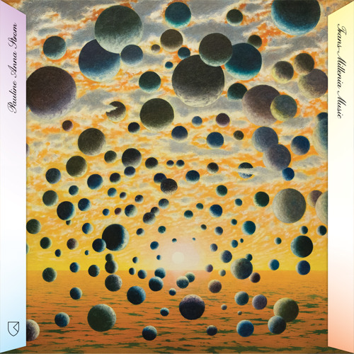 Mushroom Trip