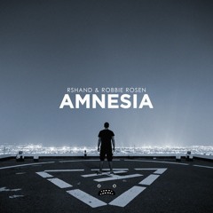 rshand & Robbie Rosen - Amnesia (Instrumental Mix)